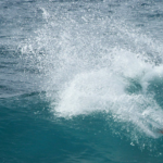 Campionati del Mondo di Windsurf a Tenerife: Storia e Importanza